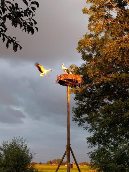 Achterhuis Hamingen Staphorst Esterno foto